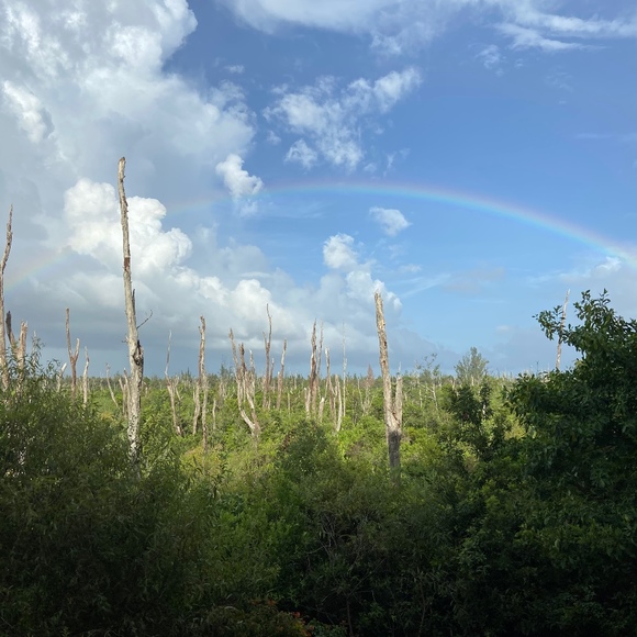 Meet your Posher, Stacey - Picture 1 of 1